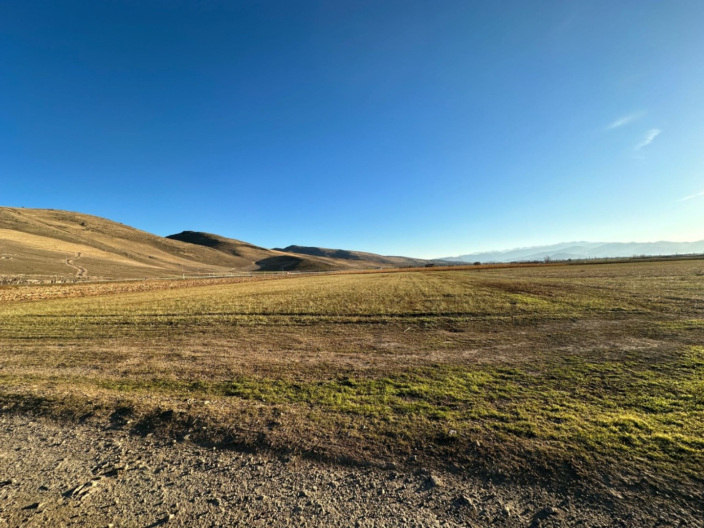 KAYSERİ DEVELİ ZİLE MAHALLESİ SARAYBUCAĞI MEVKİİNDE SATILIK TARLA